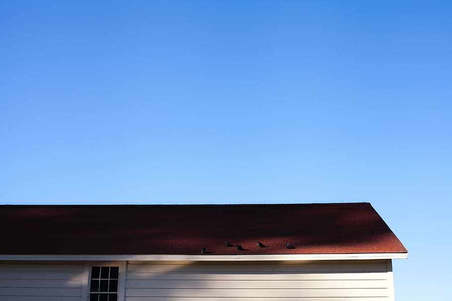How to Ensure Successful Roof Repair, Installation, and Maintenance