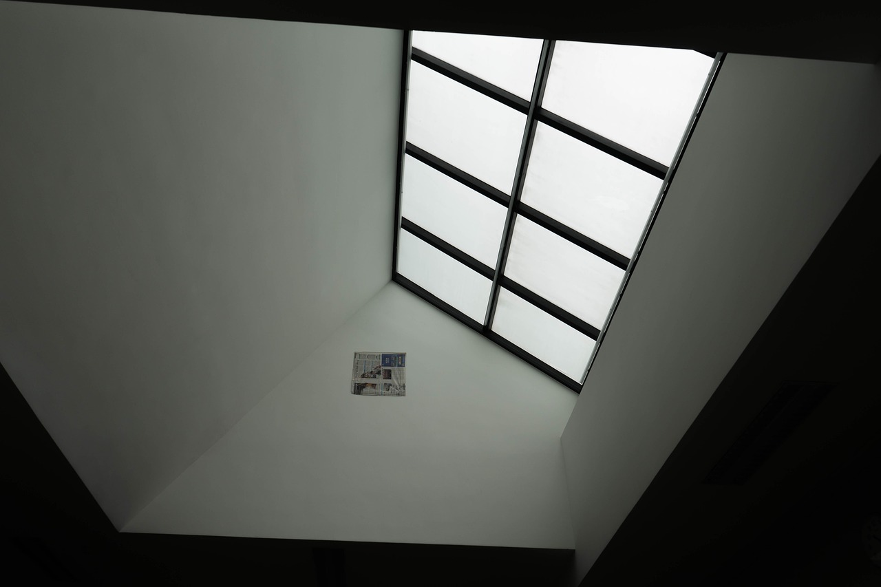A Guide to Leaf Guard and Skylight Installations